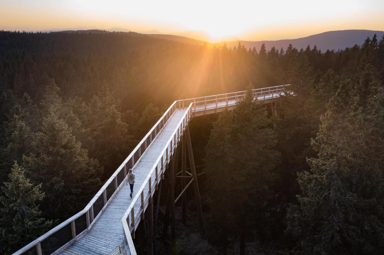 Pohorje Village Wellbeing Resort - Forest Hotel Videc Hočko Pohorje Exterior foto